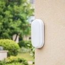 LED wall light 20W Oval Exterior, 6500k, White, Applied outdoors
