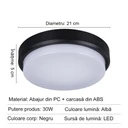 LED wall light 30W Round Exterior, 6500k, Black, Applied outdoors