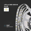 12V LED Strip Light – 60 LEDs/m – SMD 5050 – 6500k – IP20  – 10mm – 5m Roll
