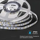 12V LED Strip Light – 120 LEDs/m – SMD5050 – 3000k – IP65 –10mm – 5m Roll