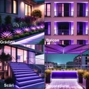 12V Neon Flex LED Strip Light – Purple Light – 8mm – IP65 – 5m Length