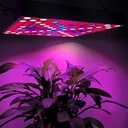 LED lamp 45W, 225 LEDs, 165 Red, 60 Blue, for growing plants indoors, 30 x 30 cm, multicolor