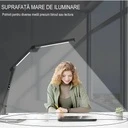 Dual LED Desk Lamp, Eye Protection, 5 intensity levels, 4 color temperatures 3000k-6500k, foldable, no flicker, aluminum material, 12W, 700 lumens, Black