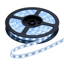 Banda LED 12V, 120 LED/m, SMD 5050, Lumina Alb-Rece, Interior IP20, 10mm, Rola 5 metri